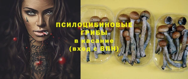 COCAINE Богородицк
