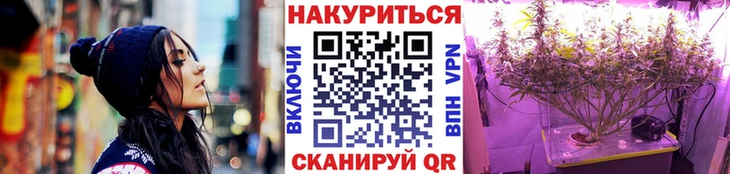 Канабис сатива Северская