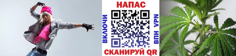 Бошки Шишки OG Kush Северская